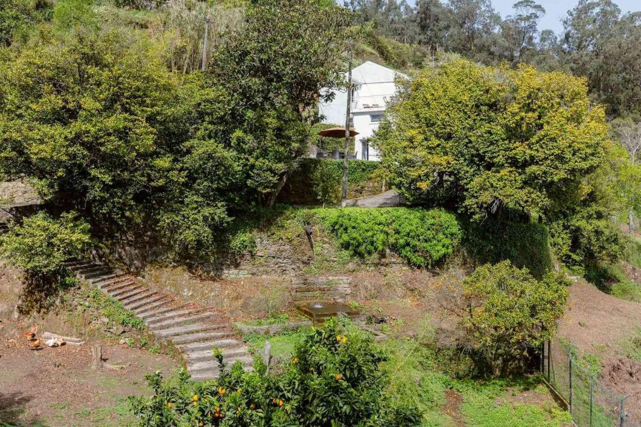 Quinta Da Agraceira Casa Do Caseiro Vila Nova de Gaia Exteriör bild